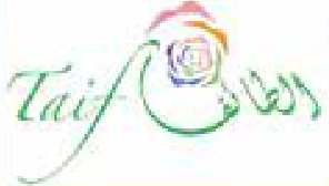 الطائف