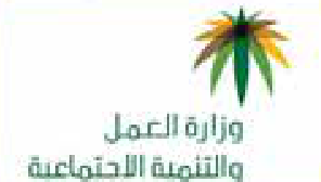وزارة العمل والتنمية الاجتماعية